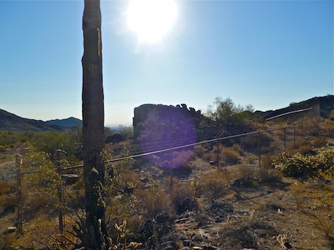 The petroglyphs are protected by a fence.