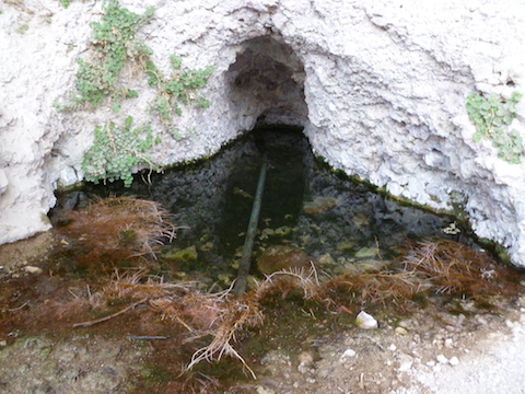 Hackberry Spring flows straight out of the mountain.