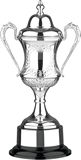 NPL Fantasy League Trophy