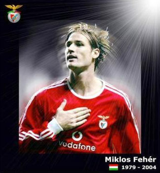 Miklos Feher (1979-2004)