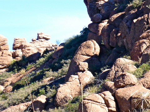 The second reason for naming this Cock Canyon. When my wife saw this picture, she broke out laughing.