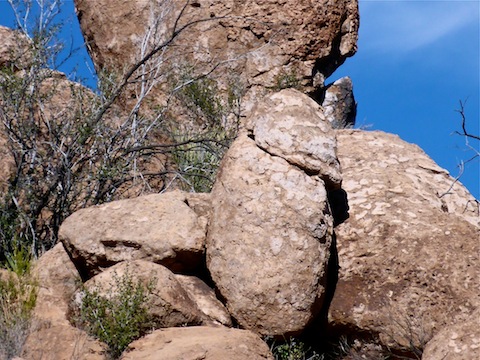 The reason I've named this canyon Cock Canyon.