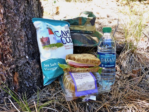 Vinegar chips are an essential part of my hiking food.