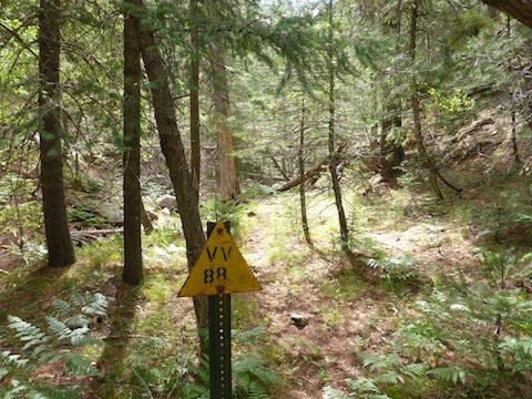 VV88 was one of two yellow triangle signs I saw in East Bear Canyon. Does it have something to do with the General Crook Trail?