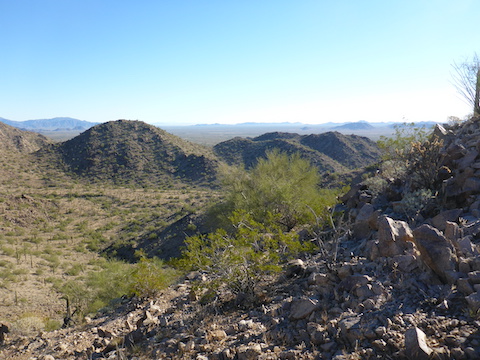 Estrella BM 2766: Looking east, towards BLM 8002. Despite appearances, it is 400 feet down -- though it proved much less strenuous, rocky, slippery or cholla-y than the way up.