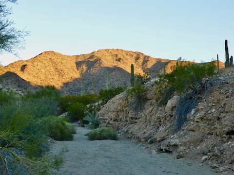 Walking northeast towards Estrella BM 2766.