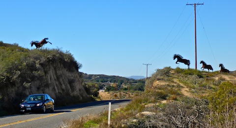 Those are not real mustangs leaping CA-79, east of Temelcula: They are sculptures from metal artist Ricardo Breceda. 