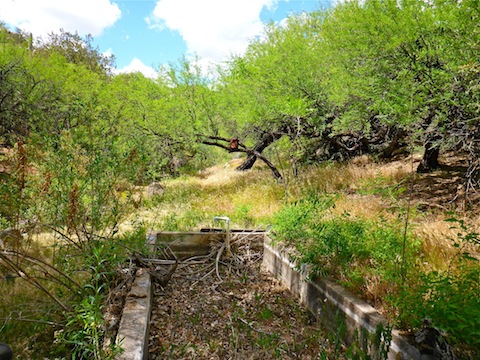 Cottonwood Spring #2, Yes, there are two Cottonwood Springs on the map. This is the one with a trickle of water. I never found the other one.