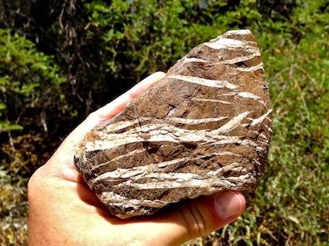 Cool rock I found along Slate Creek.