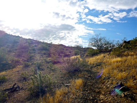 I like the way the sun lit up the scrub grass as I explored south towards Pecos Rd.