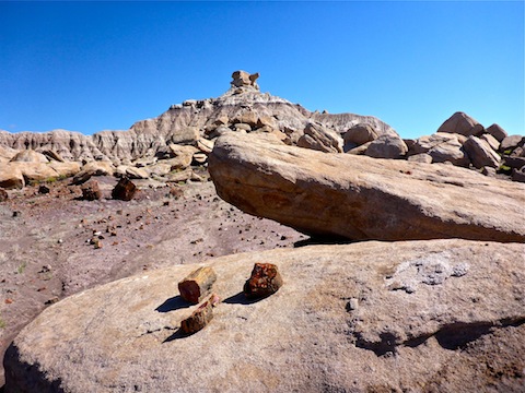 These specimens of petrified wood did not naturally occur on that boulder: Someone put them there. (Picking up specimens is illegal, as it removes them from their geologic context.)