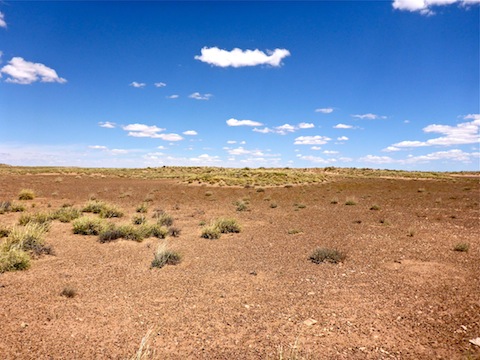 The barren interior of Blue Mesa.
