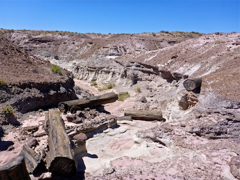 What it shall be: A collapsed petrified log bridge.