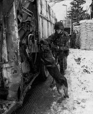 Sr. Airman Matthew Arpano and his dog Ringo check vehicles entering the Tuzla compound.