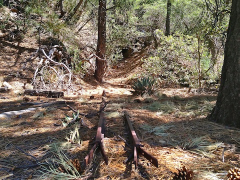 Ore cart rails outside the 200 ft. adit.