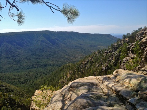 Great view looking down into Pine Canyon from FR 9388R. Mogollon Rim opposite,