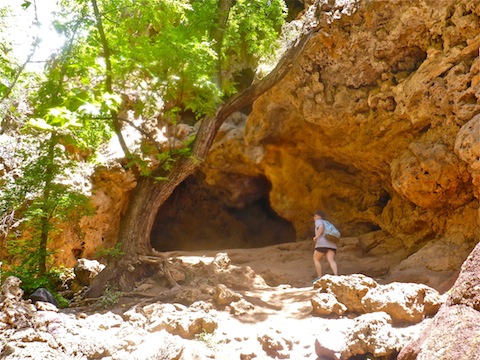 Davey Gowan's cave?