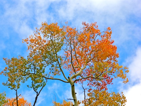 Blue skies were brief, and the sun rare.