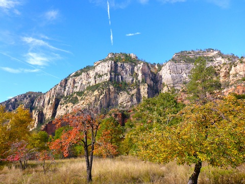 Looking past the apple orchards of Lolomai Lodge -- where Zane Grey wrote "The Call of the Canyon" -- towards the cliffs of Oak Creek Canyon.