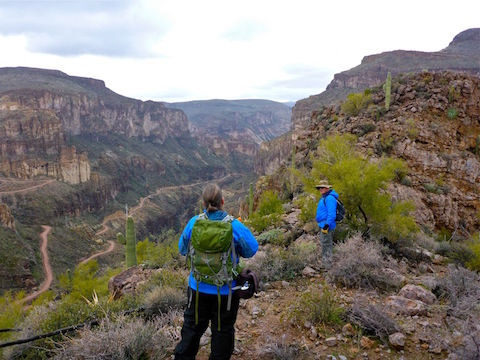 Contemplating the spur.