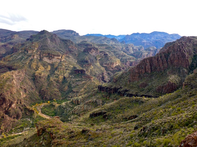 Looking up Fish Creek Canyon.