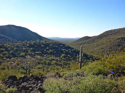 From the saddle, looking back towards the trailhead. Black Mountain on the left.