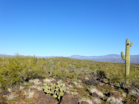 Facing northwest, along the spur, towards the OP overlooking Lake Pleasant.