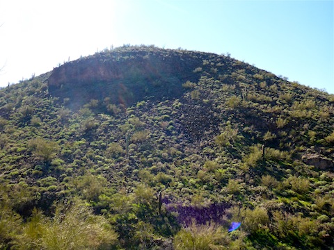 It's not tall, but boy is it steep! I descended right-to-left, between the small cliff and the rock fall.