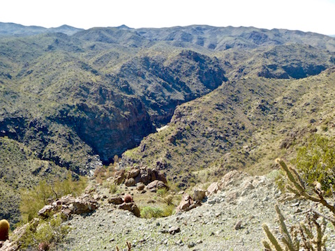 Looking from Hill 1655 down into the Bill Williams River Gorge.