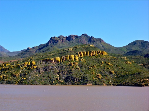 The Yellow Cliffs' color is caused by lichen, not Mexican Gold Poppies.