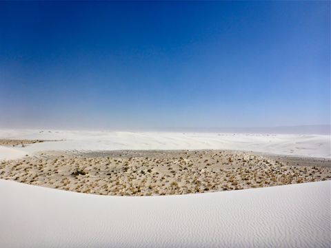 99% of the vegetation is found in the "bowls" between dunes. The bowls also make a welcome wind break.