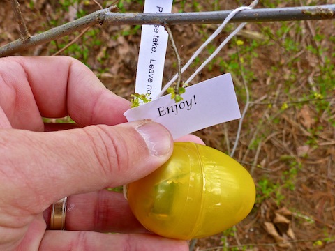 Who knew the Easter Bunny is a trail angel?