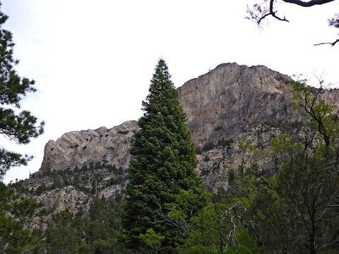 North rim of Fletcher Canyon.