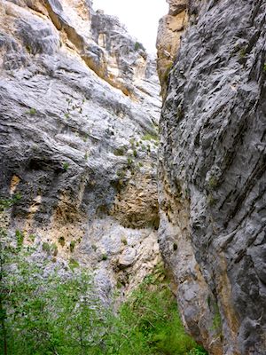 Above Fletcher Spring, Fletcher Canyon becomes a slot canyon.