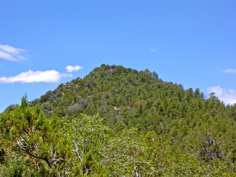 Heading up the spine of Tanner Peak, summit ahead.