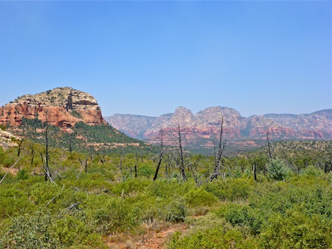 Brins Mesa Fire burn area at Soldier Pass.