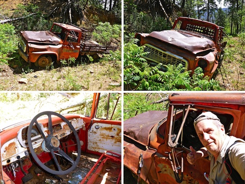 Abandoned International truck. Probably a 1958-60 A- or B-Series.