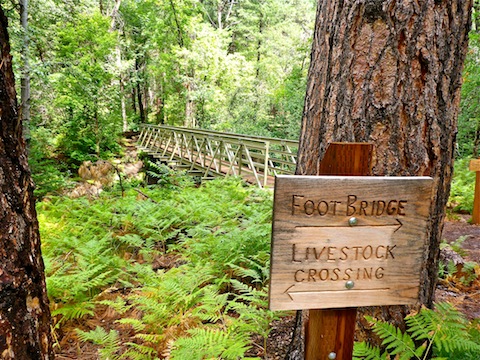 The Bearfoot Bridge over Pine Creek is just north of Camp Lo Mia.