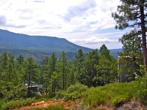 Looking across the northeast corner of Pine towards Milk Ranch Point.