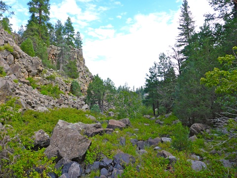 All the wait-a-minute vines & boulders in Walnut Creek made for slow going. And the mosquitoes were awful!