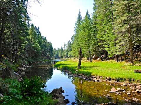 Creek on the west end of Woods Canyon Lake. The crossing was dry.