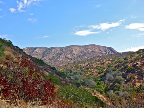 South Fortuna Mountain from the San Diego River Trail.