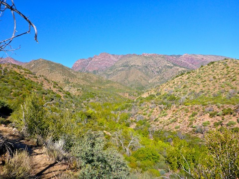 Davey is buried at the junction of Deer Creek and Bars Canyon, at the bottom of Shake Ridge. Mazatzal Peak in the distance.