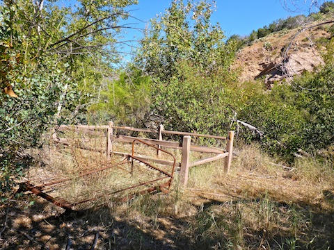 Davey Gowan's grave, with broken railing and old bed frame.