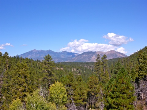 From the OP, looking down Walnut Canyon, towards the San Francisco Peaks and Mount Elden. I had 3-4 bar Verizon reception.