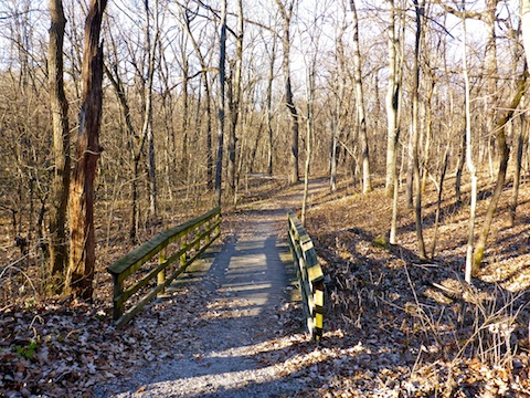 Bridge on the Wildlife Habitat Trail. Each trail has a couple of these, plus many smaller no-rail plank crossings.