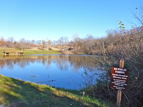 The W. Robert Aylward Educational Pond on the Hickory Grove Trail. I was hoping to see some ducks here, but no such luck. Thanksgiving must be too late in the migration season?