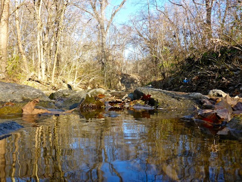 Burr Oak Creek. None of the official trails cross it, but I got a bit off track trying to interpret the park map.