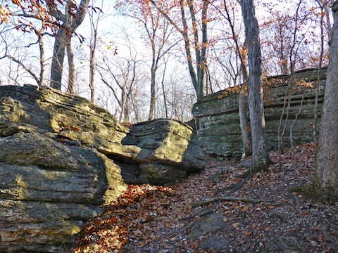 Though not massive, the limestone outcroppings on Bethany Falls Trail were larger & more interesting than those on the Wildlife Habitat Trail.