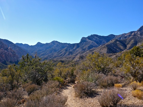 Looking south, down canyon, towards La Madre Spring and Rocky Gap Rd. The very distinct massif (middle right) is, I believe, an unnamed peak numbered 2348T. It is is visible from at least half the loop.
